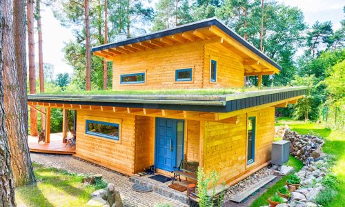 LeonWood-Blockhaus-Kalevala_02_ausgefeilte-Pultdachkonstruktion_rgb