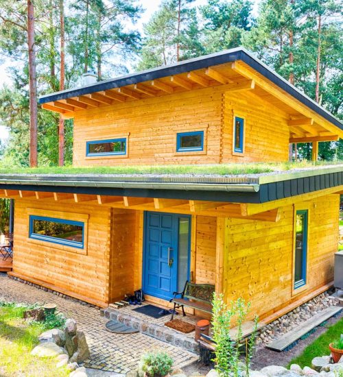 LeonWood-Blockhaus-Kalevala_02_ausgefeilte-Pultdachkonstruktion_rgb